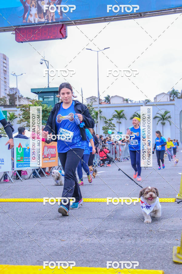 Buy your photos of the event6 Corrida do Shopping Aricanduva on Fotop
