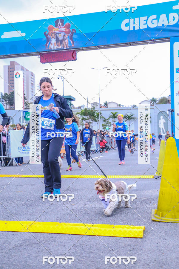 Buy your photos of the event6 Corrida do Shopping Aricanduva on Fotop