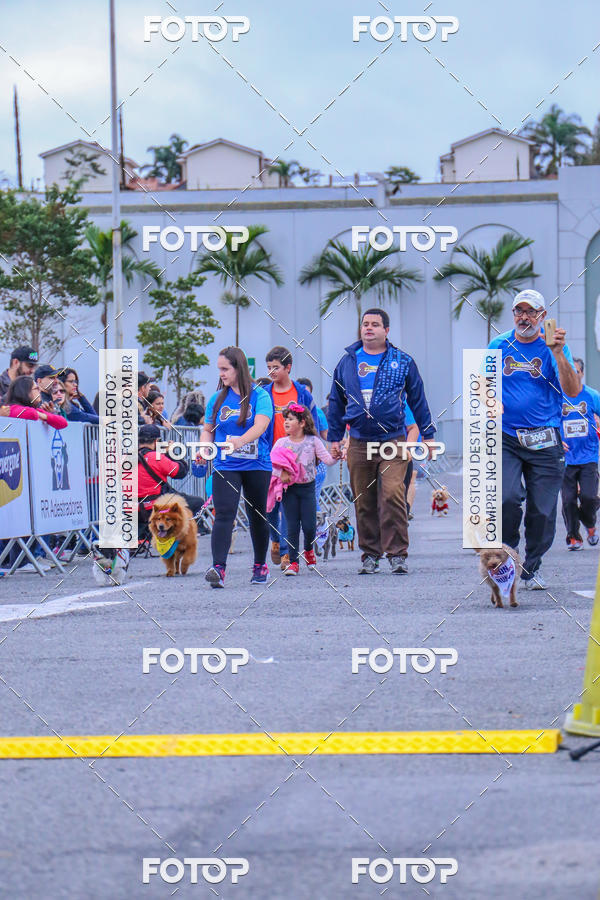 Buy your photos of the event6 Corrida do Shopping Aricanduva on Fotop