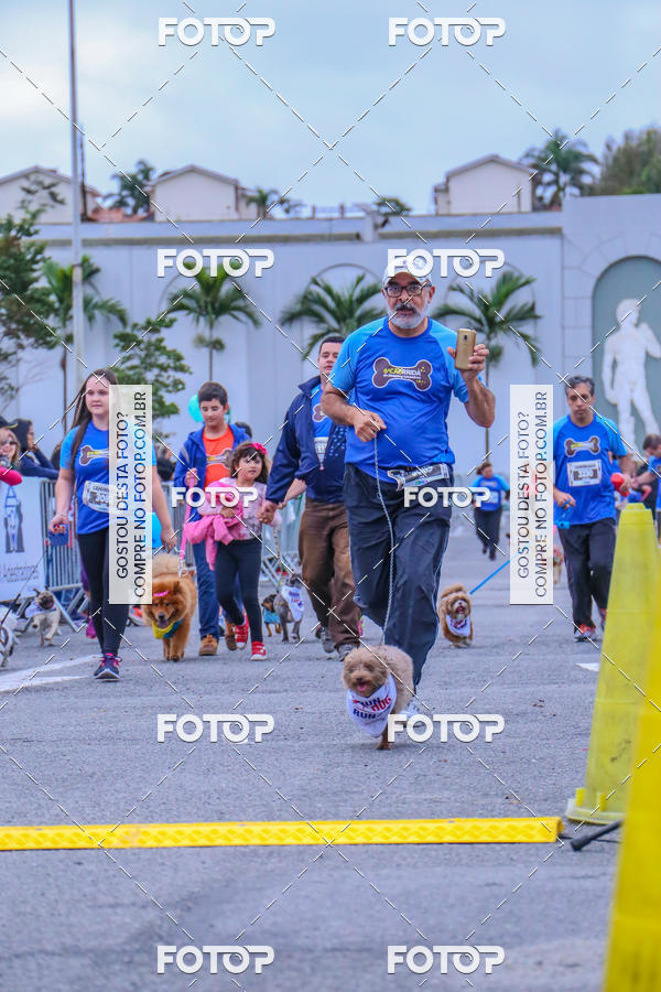 Buy your photos of the event6 Corrida do Shopping Aricanduva on Fotop