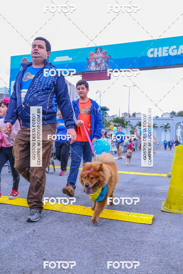 Buy your photos of the event6 Corrida do Shopping Aricanduva on Fotop