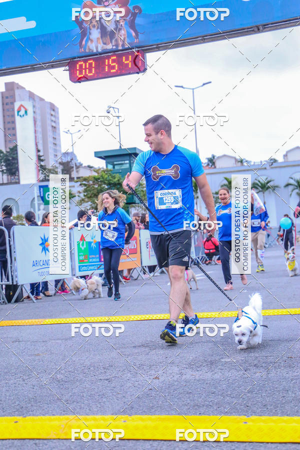 Buy your photos of the event6 Corrida do Shopping Aricanduva on Fotop