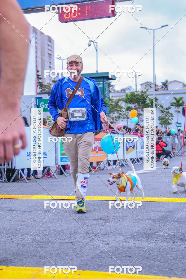 Buy your photos of the event6 Corrida do Shopping Aricanduva on Fotop