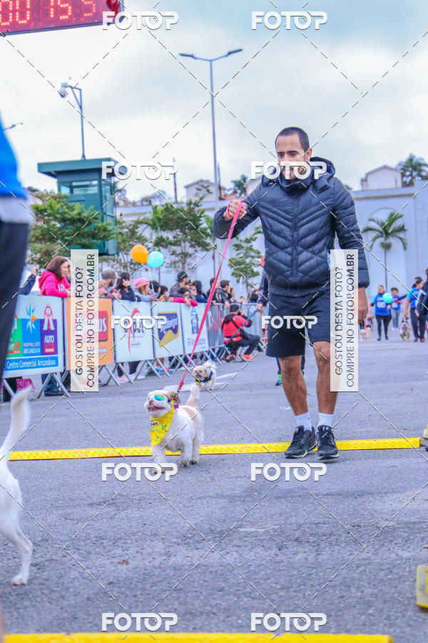 Buy your photos of the event6 Corrida do Shopping Aricanduva on Fotop