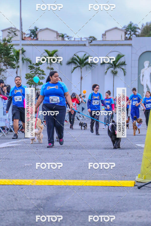 Buy your photos of the event6 Corrida do Shopping Aricanduva on Fotop
