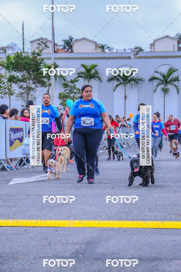 Buy your photos of the event6 Corrida do Shopping Aricanduva on Fotop