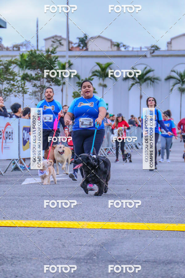 Buy your photos of the event6 Corrida do Shopping Aricanduva on Fotop