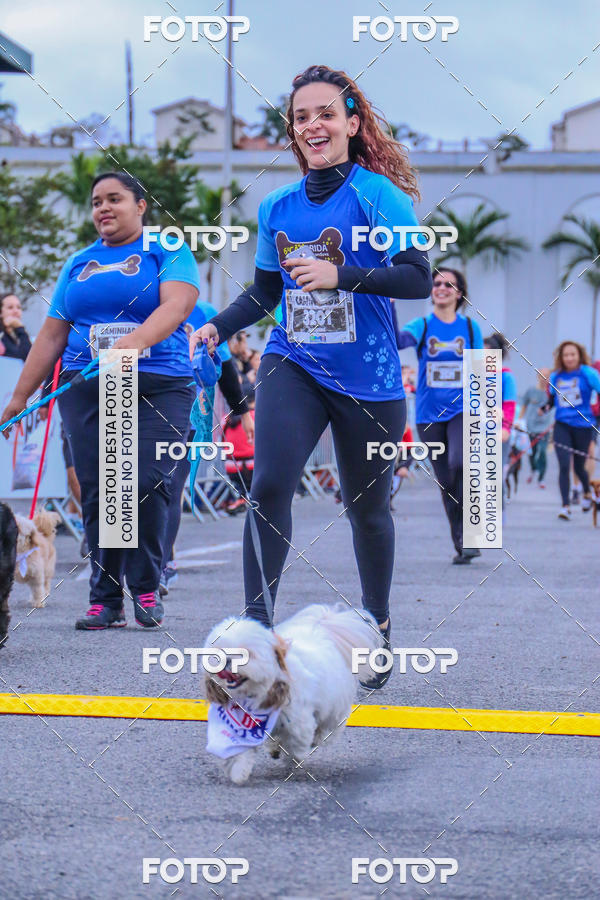 Buy your photos of the event6 Corrida do Shopping Aricanduva on Fotop