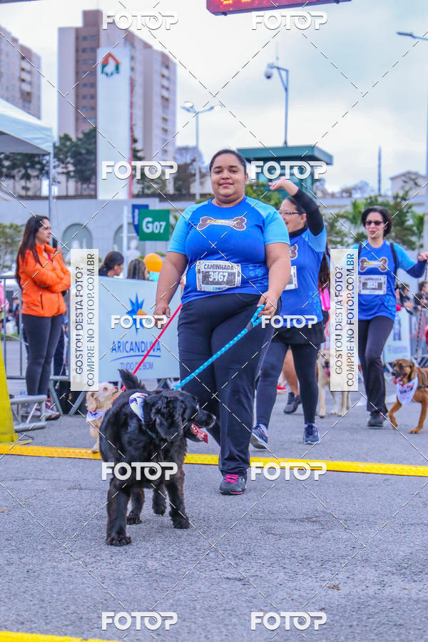 Buy your photos of the event6 Corrida do Shopping Aricanduva on Fotop
