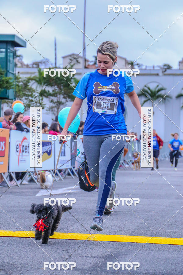 Buy your photos of the event6 Corrida do Shopping Aricanduva on Fotop