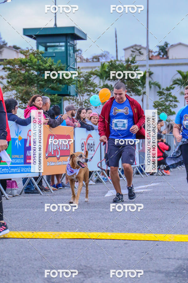 Buy your photos of the event6 Corrida do Shopping Aricanduva on Fotop