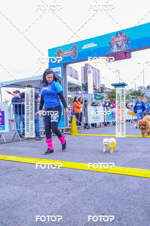 Buy your photos of the event6 Corrida do Shopping Aricanduva on Fotop