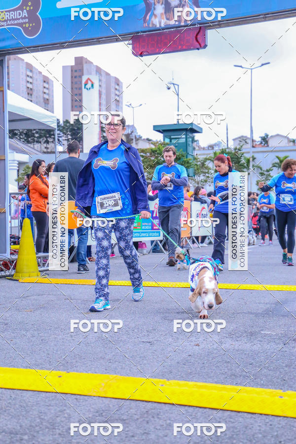 Buy your photos of the event6 Corrida do Shopping Aricanduva on Fotop