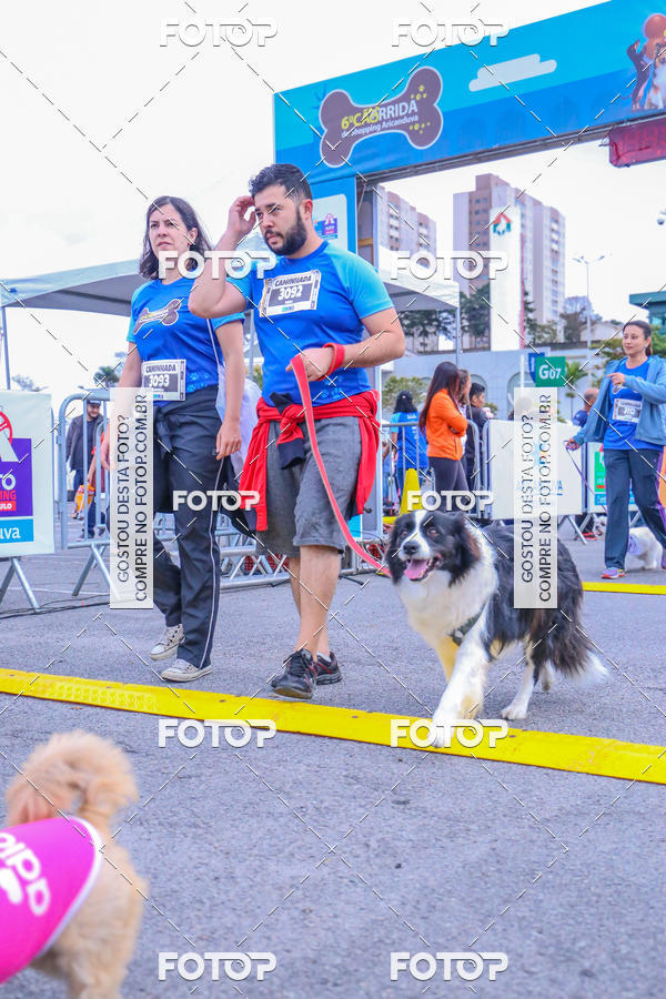 Buy your photos of the event6 Corrida do Shopping Aricanduva on Fotop