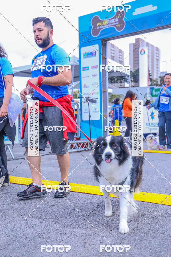 Buy your photos of the event6 Corrida do Shopping Aricanduva on Fotop
