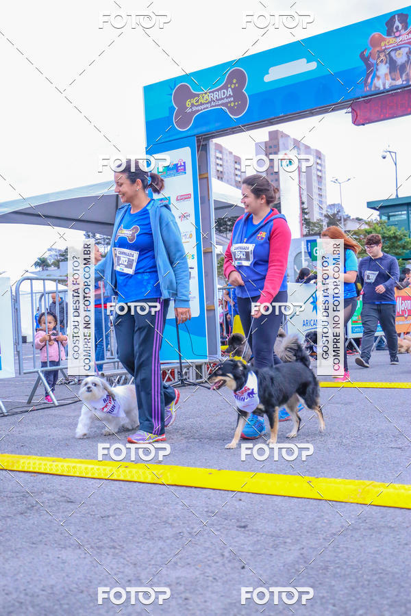 Buy your photos of the event6 Corrida do Shopping Aricanduva on Fotop