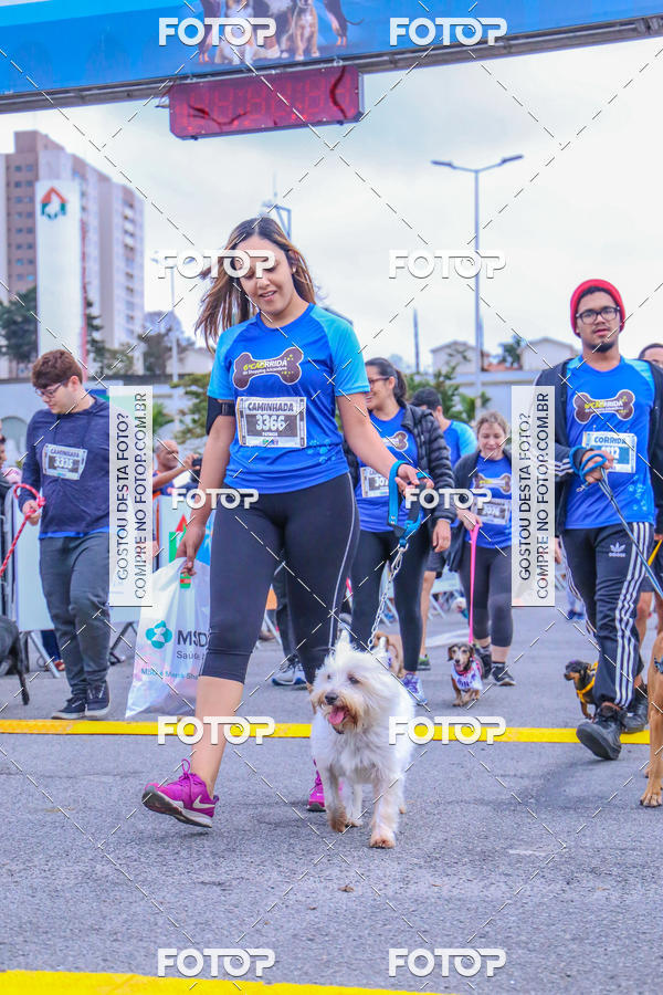 Buy your photos of the event6 Corrida do Shopping Aricanduva on Fotop