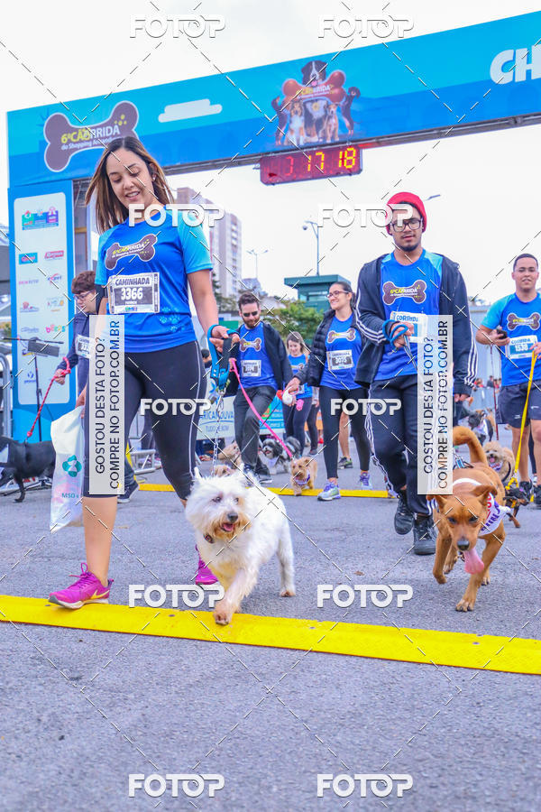 Buy your photos of the event6 Corrida do Shopping Aricanduva on Fotop