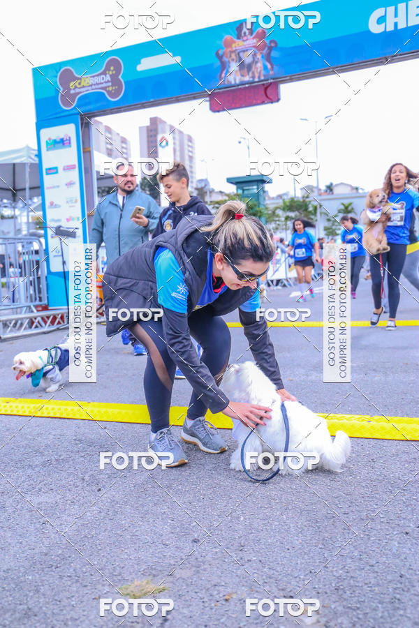 Buy your photos of the event6 Corrida do Shopping Aricanduva on Fotop