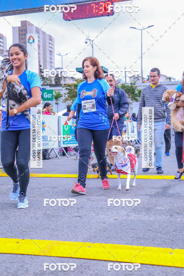 Buy your photos of the event6 Corrida do Shopping Aricanduva on Fotop