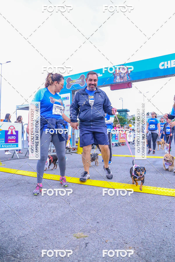 Buy your photos of the event6 Corrida do Shopping Aricanduva on Fotop