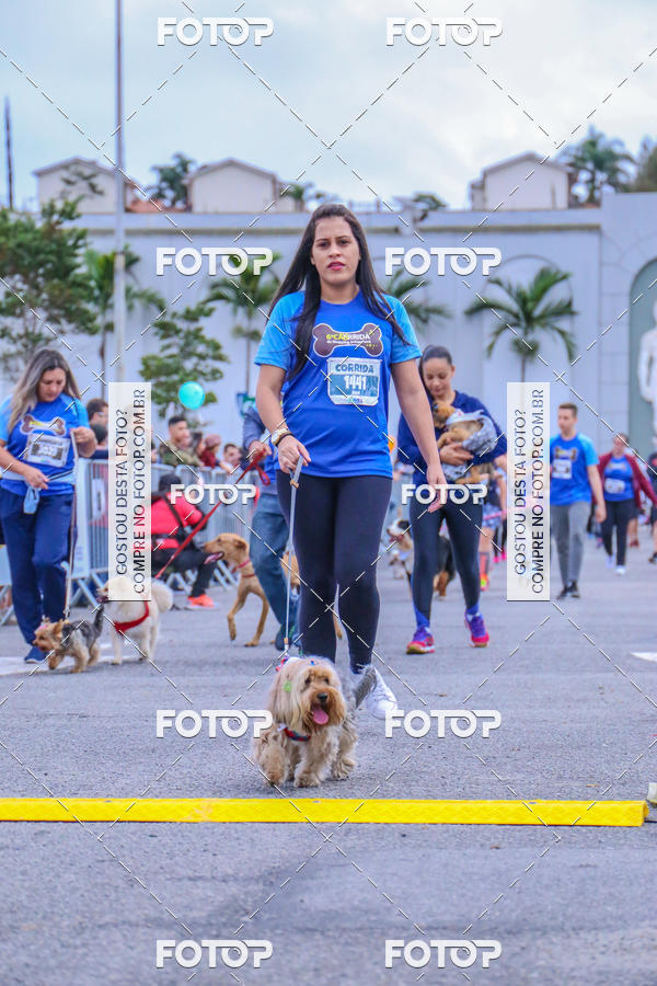 Buy your photos of the event6 Corrida do Shopping Aricanduva on Fotop