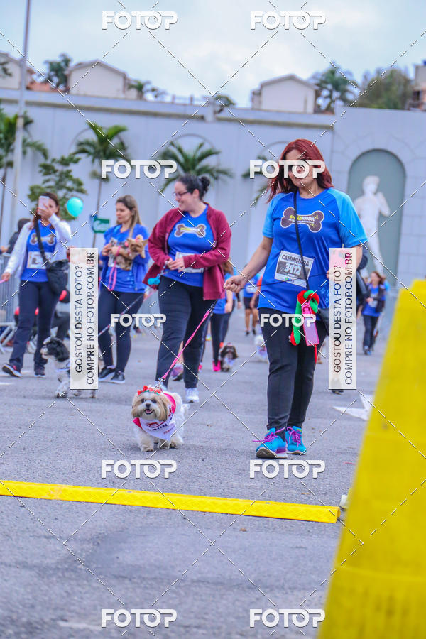 Buy your photos of the event6 Corrida do Shopping Aricanduva on Fotop