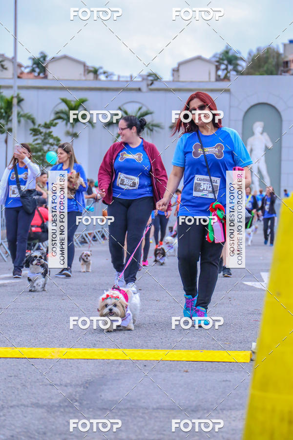Buy your photos of the event6 Corrida do Shopping Aricanduva on Fotop