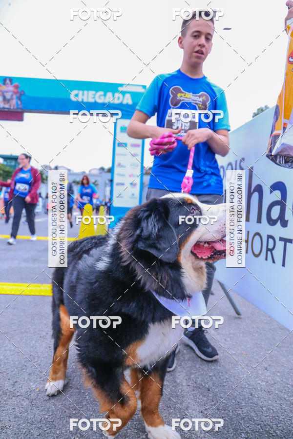 Buy your photos of the event6 Corrida do Shopping Aricanduva on Fotop