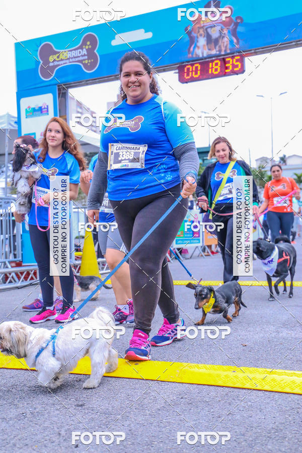 Buy your photos of the event6 Corrida do Shopping Aricanduva on Fotop