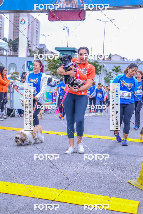 Buy your photos of the event6 Corrida do Shopping Aricanduva on Fotop
