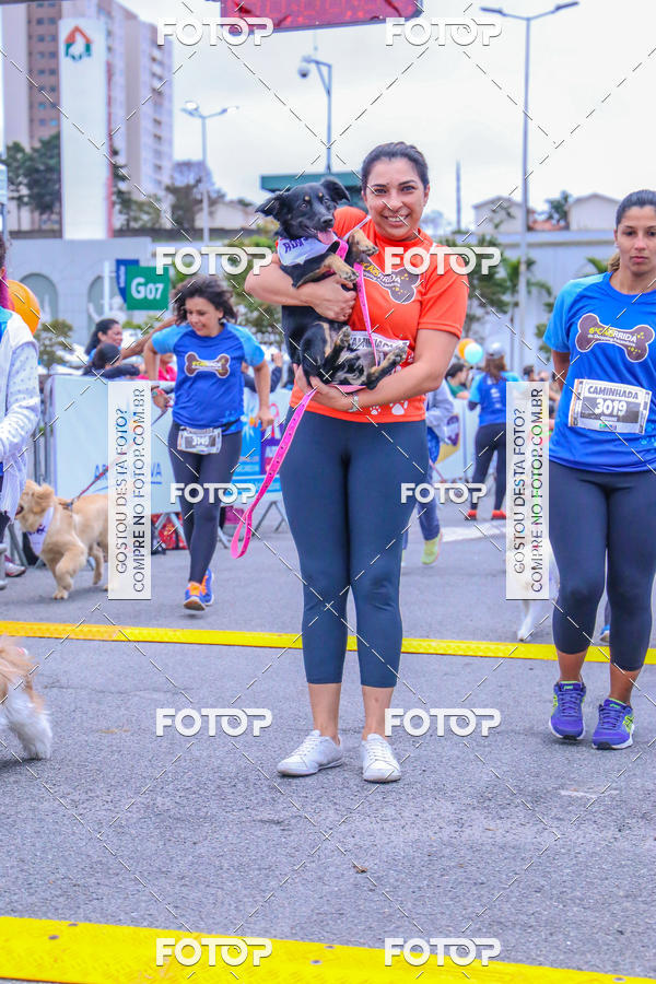 Buy your photos of the event6 Corrida do Shopping Aricanduva on Fotop