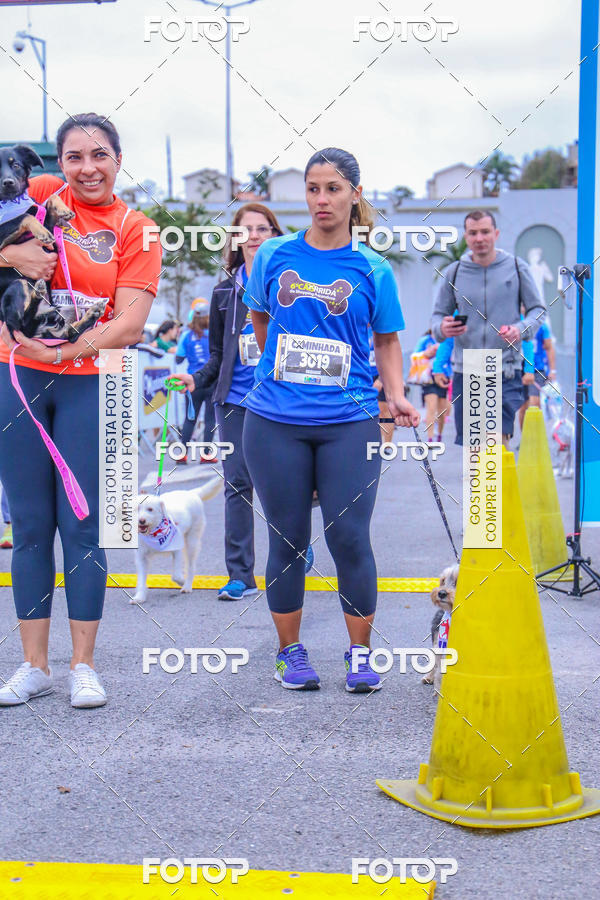 Buy your photos of the event6 Corrida do Shopping Aricanduva on Fotop
