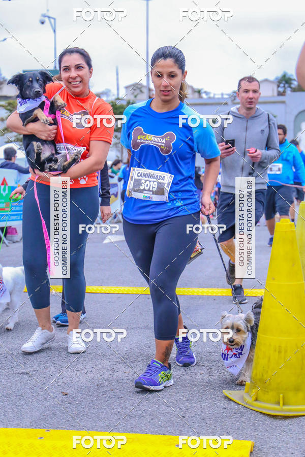 Buy your photos of the event6 Corrida do Shopping Aricanduva on Fotop