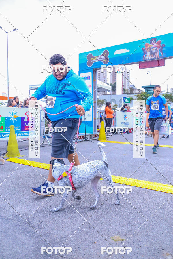 Buy your photos of the event6 Corrida do Shopping Aricanduva on Fotop