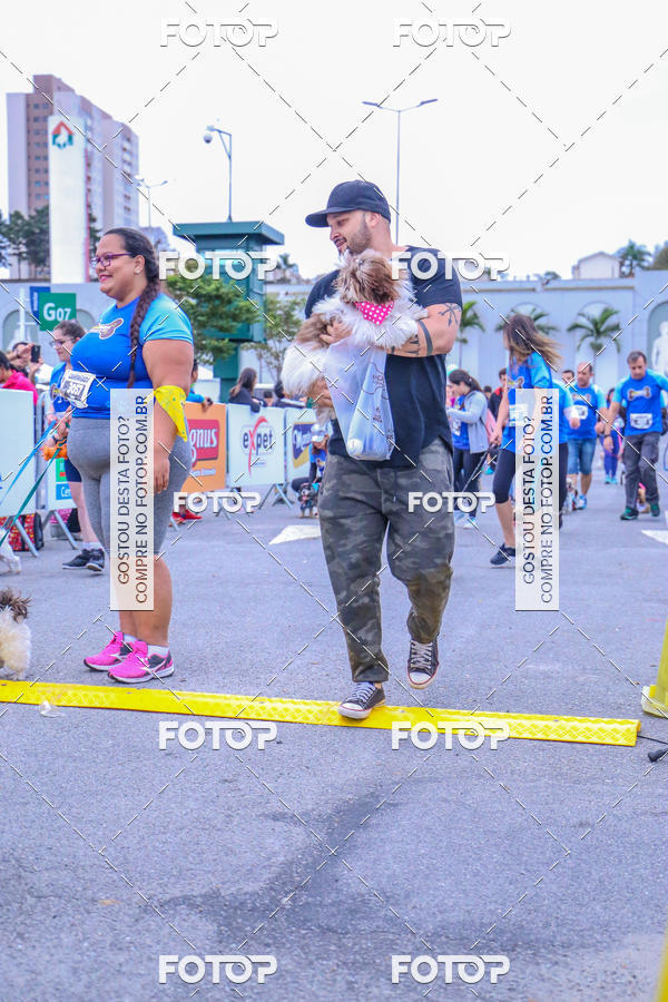 Buy your photos of the event6 Corrida do Shopping Aricanduva on Fotop