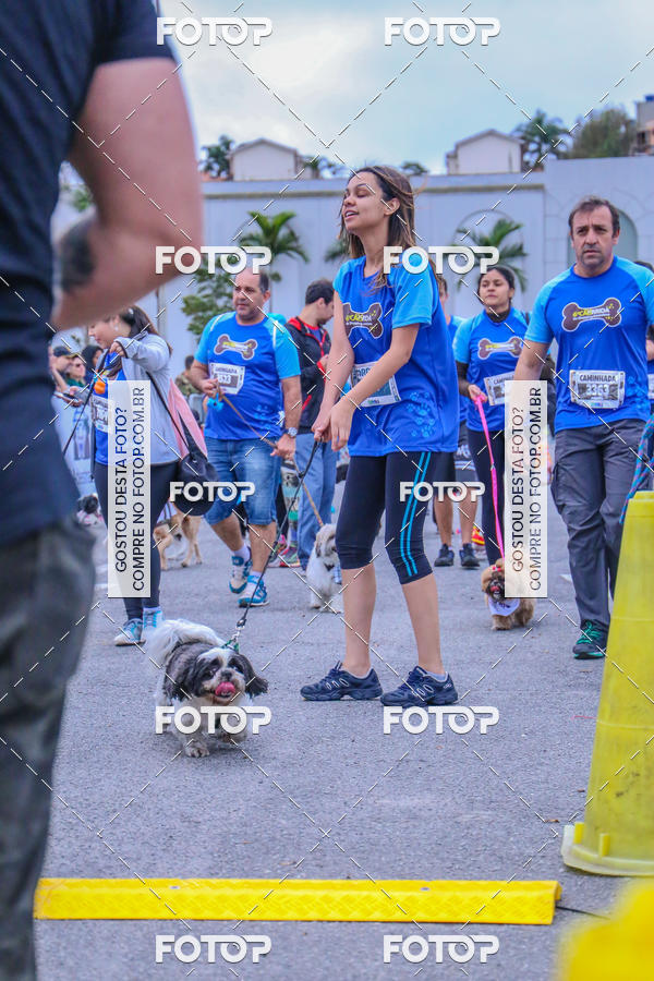 Buy your photos of the event6 Corrida do Shopping Aricanduva on Fotop