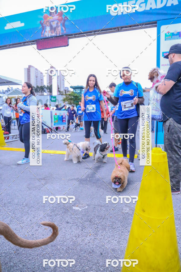 Buy your photos of the event6 Corrida do Shopping Aricanduva on Fotop