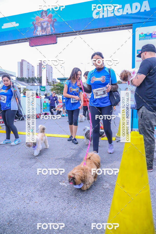 Buy your photos of the event6 Corrida do Shopping Aricanduva on Fotop
