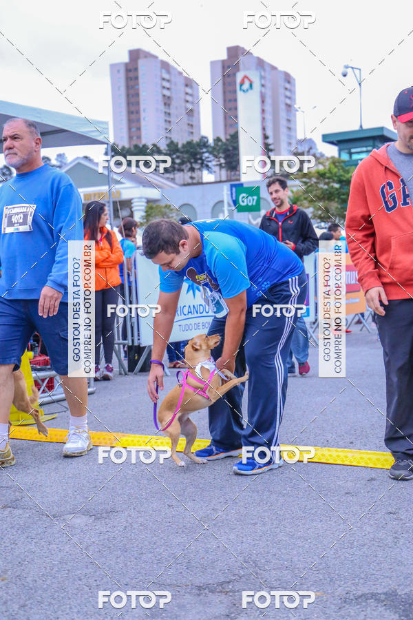 Buy your photos of the event6 Corrida do Shopping Aricanduva on Fotop