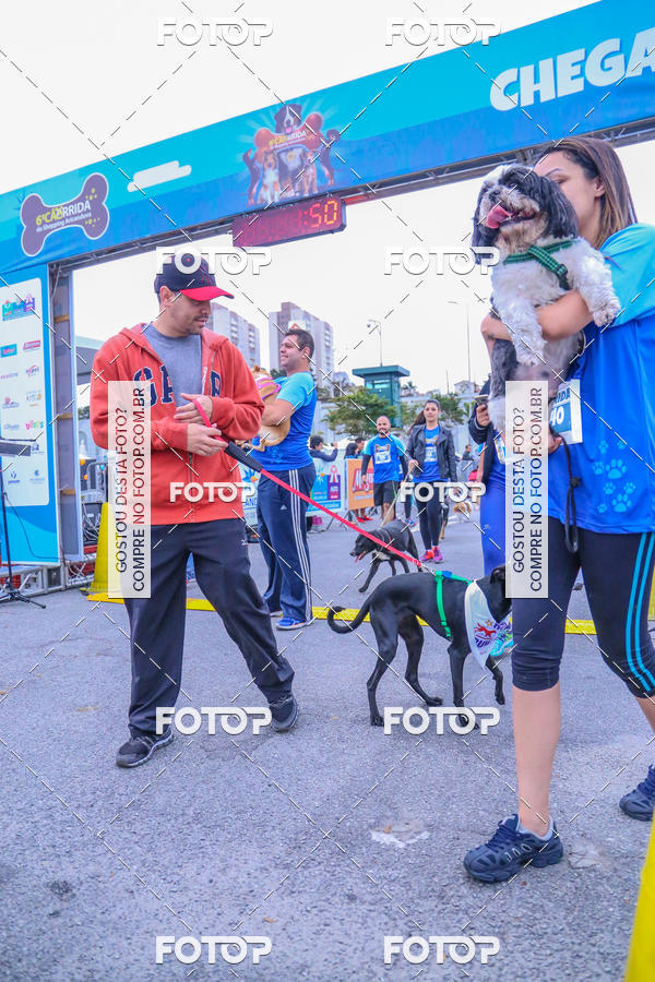 Buy your photos of the event6 Corrida do Shopping Aricanduva on Fotop
