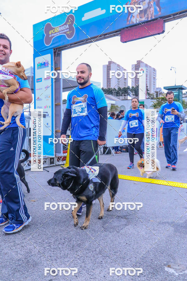 Buy your photos of the event6 Corrida do Shopping Aricanduva on Fotop