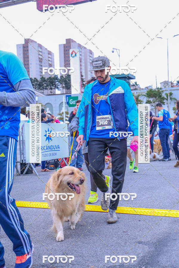 Buy your photos of the event6 Corrida do Shopping Aricanduva on Fotop