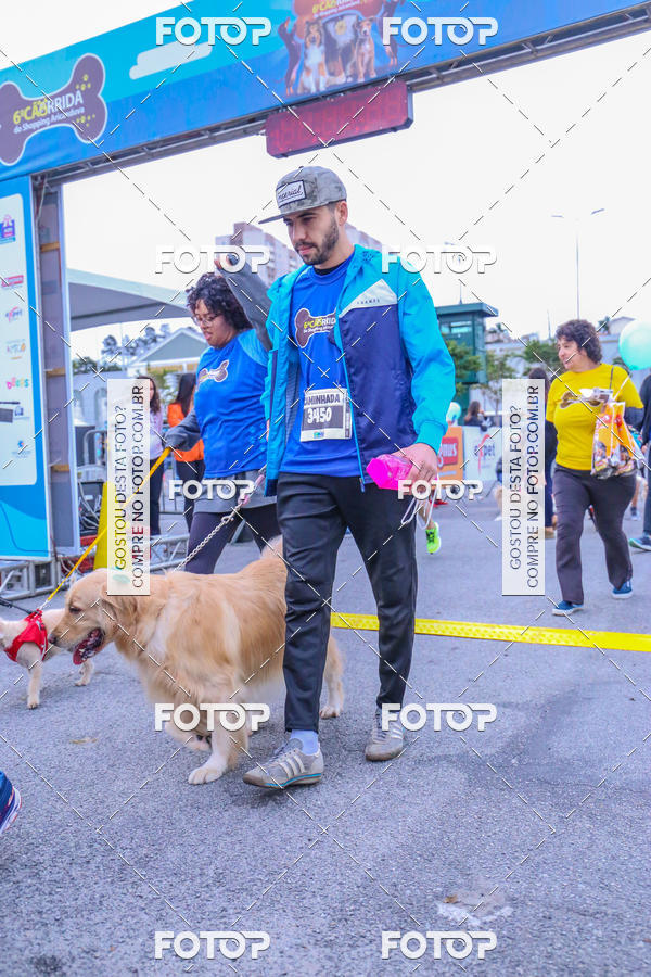 Buy your photos of the event6 Corrida do Shopping Aricanduva on Fotop