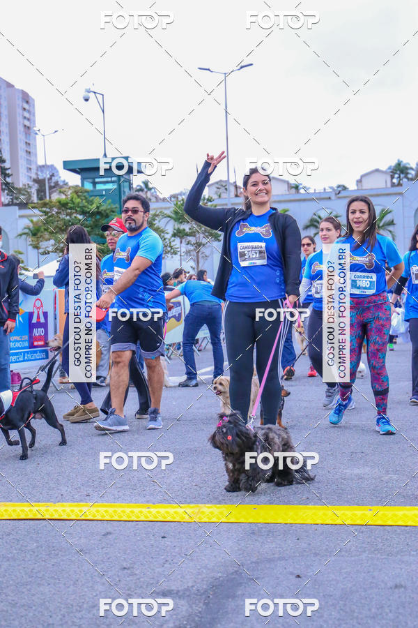Buy your photos of the event6 Corrida do Shopping Aricanduva on Fotop