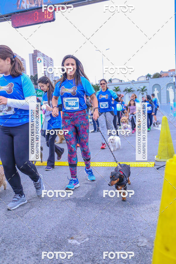 Buy your photos of the event6 Corrida do Shopping Aricanduva on Fotop
