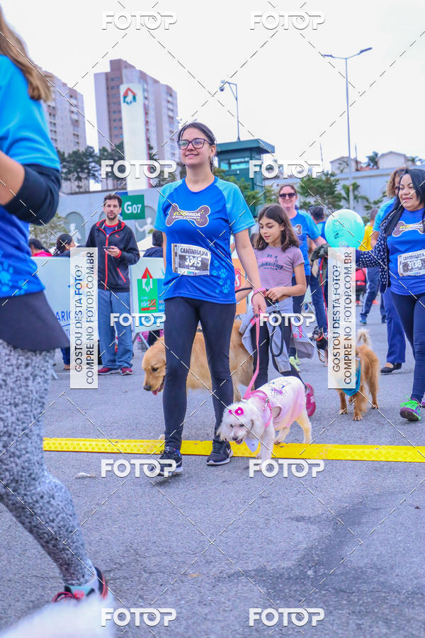 Buy your photos of the event6 Corrida do Shopping Aricanduva on Fotop