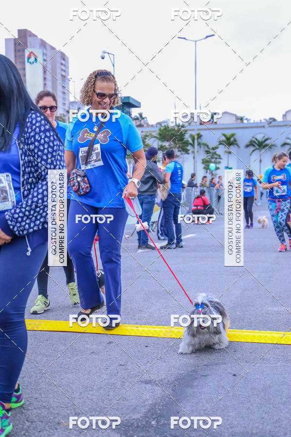 Buy your photos of the event6 Corrida do Shopping Aricanduva on Fotop
