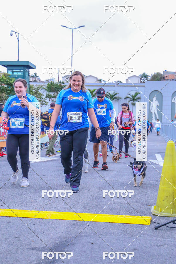 Buy your photos of the event6 Corrida do Shopping Aricanduva on Fotop