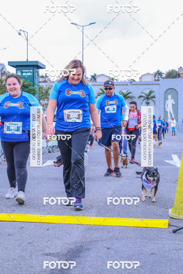 Buy your photos of the event6 Corrida do Shopping Aricanduva on Fotop